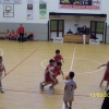 minibasket raggruppamento febbraio 2011